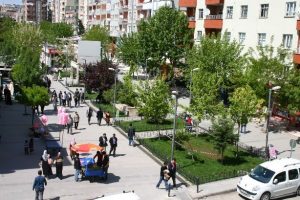 Ağa&ccedil; kesti 10 ay hapis cezası aldı