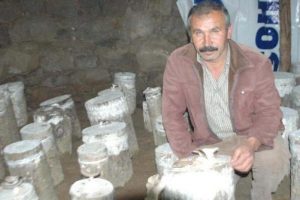 R&uuml;yasını ger&ccedil;ekleştirdi