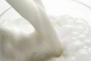 Başbakan 'ayran' dedi, Pınar S&uuml;t hisseleri u&ccedil;tu