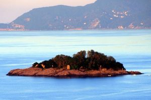 Giresun Adası iki aylığına kuşlara bırakılacak