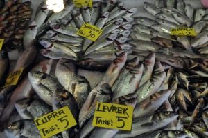 Zam şampiyonu belli oldu