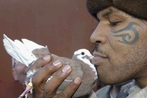 Sevgilisi Mike Tyson'ın kuşunu yedi