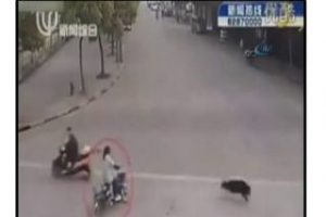 Bu işte bir terslik var!