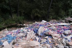 Ormanı &ccedil;&ouml;pl&uuml;ğe &ccedil;evirdiler