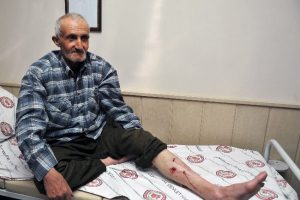 Mantar toplarken ayı saldırdı