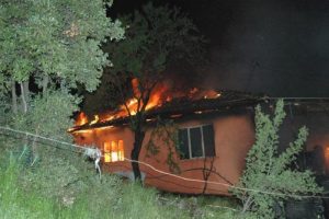 Mal canın yongasıdır