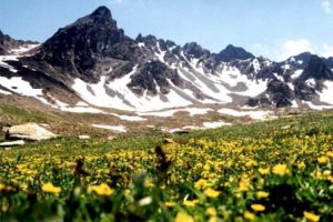 Şimdi mevsimlerden "Ka&ccedil;karlar"