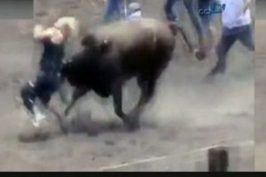 Para uğruna canından oluyordu