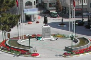 Sen misin &ccedil;elenk koyan...