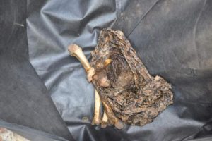 Kazan Vadisi'nde insan kemikleri bulundu