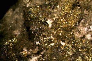 Altın madeni çöktü: 60 ölü