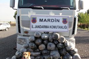 Mardin'de 170 kilo esrar ele ge&ccedil;irildi