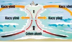 Kıyıya paralel y&uuml;z&uuml;n