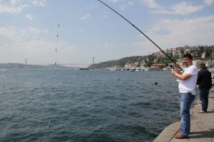 Yunuslar adeta balık&ccedil;ı teknesiyle yarıştı