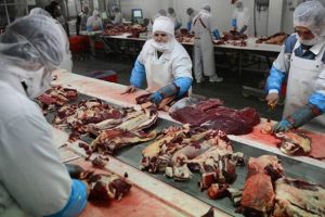 'At eti' kriziyle sarsılan Avrupa'da gıda alarmı