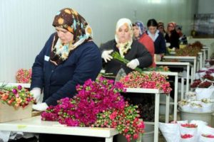 Avrupa'daki annelere 45 milyon dal &ccedil;i&ccedil;ek