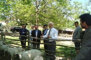 Sosyal Yardımlaşma Vakfı'ndan ke&ccedil;i yardımı