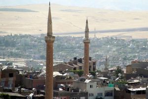 Hangi ilde hem doğalgaz hem petrol bulundu?