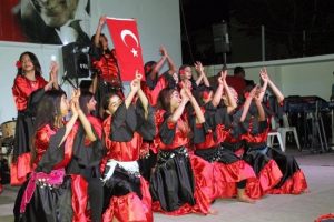 Yenişehir'de Roman Gecesi