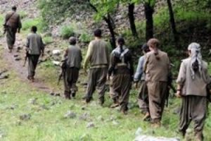 Tunceli'de geziye &ccedil;ıkan grubun &ouml;n&uuml;n&uuml; PKK'lılar kesti
