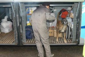 Yolcu otob&uuml;s&uuml;yle esrar taşırken yakalandılar