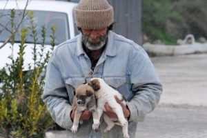 Hayvan barınağında vahşi cinayet