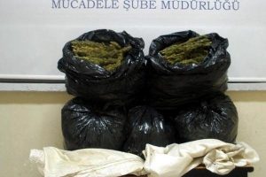 Polis zehir tacirlerine g&ouml;z a&ccedil;tırmadı