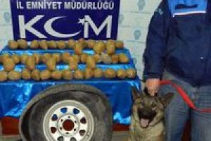 "Hastayı taburcu ettin mi?"