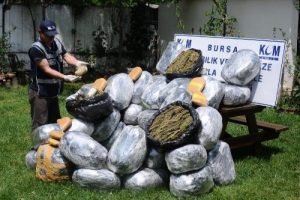 Bursa'da 254 kilogram esrar ele ge&ccedil;irildi