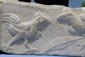'Gladyat&ouml;r' Denizlİ Horozları bulundu