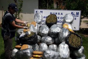 Esrarla yakalananlar tutuklandı