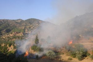 Tarım arazisinde &ccedil;ıkan yangın korkuttu