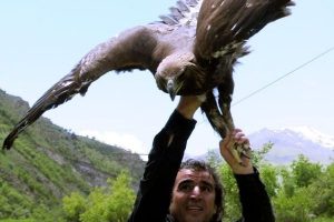 &Ouml;zg&uuml;rl&uuml;ğe kanat &ccedil;ırptılar