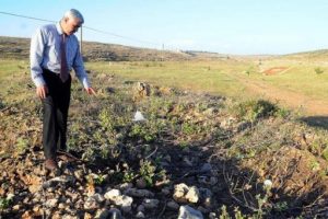 Yezidilerden ağa&ccedil; kesimine su&ccedil; duyurusu