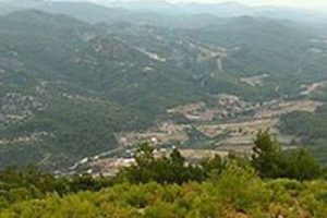 Orman arazileri halka veriliyor