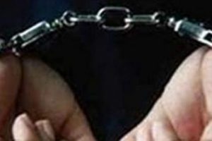 Kamu kurumlarını dolandıran 28 kişi tutuklandı