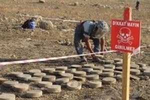 Sıra sınırdaki 2 milyon mayının temizlenmesinde