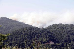 Yenice'deki yangın kontrol altında