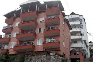 Ordu'da panik yaratan yangın