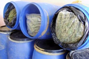 Bing&ouml;l'de 227 kilo esrar ele ge&ccedil;irildi