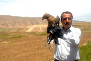 Yaralı şahin tedavinin ardından doğaya bırakıldı
