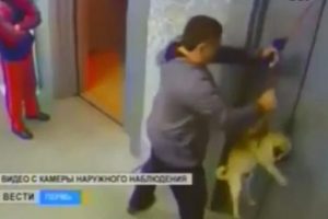 K&ouml;peği asans&ouml;rde &ouml;l&uuml;mden kurtardı !