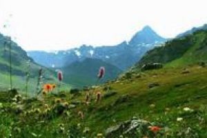 Kaz dağları sağlık ve bilim turizmine a&ccedil;ılıyor