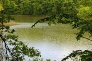 Gezi Parkı eylemi Belgrad Ormanı'nı da Manyas'ı da kurtardı