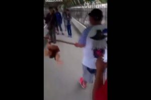 Canlı tavukları kaplanlara yem ettiler
