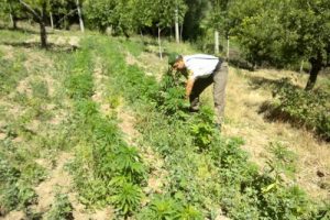 Burdur'da uyuşturucu operasyonu