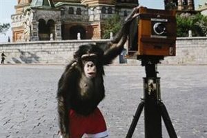 Şempanzenin &ccedil;ektiği fotoğrafa 76 bin dolar