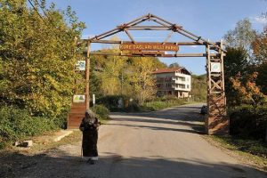 Milli parklarda vatandaşların da g&ouml;r&uuml;ş&uuml; dikkate alınacak