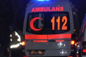 Ayı saldırısına uğrayan kişi yaralandı