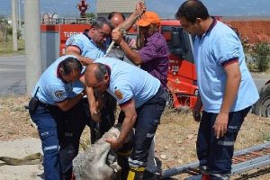 Kuyuya d&uuml;şen koyunu itfaiye kurtardı
